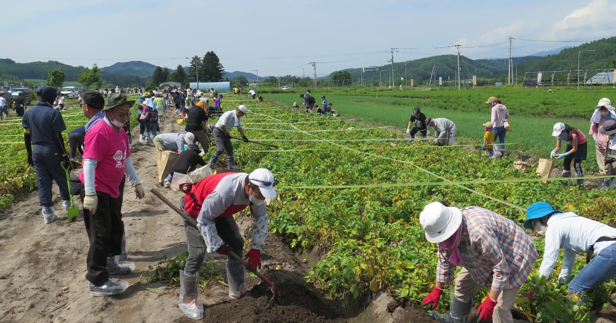 毎年恒例！家族でいも掘り体験、今年も実施！